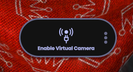Enable Virtual Camera button