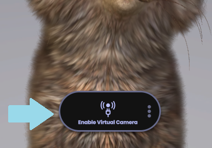 enable virtual camera